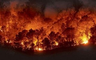 incencio-forestal