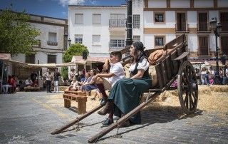 Guerrilla_yunquerana_2019