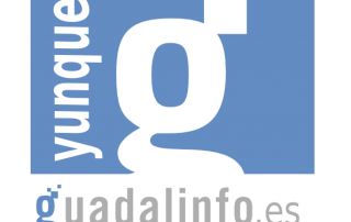 dinamizador guadalinfo