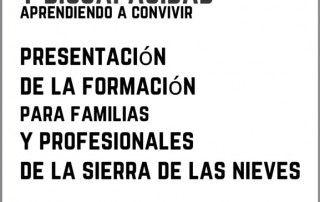 familia_discapacidad