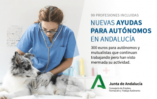 Ayuda_autonomos
