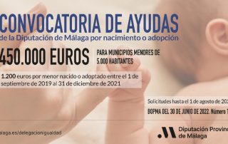 Ayudas por nacimiento o adopción 2021