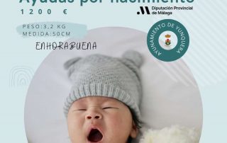 Ayudas por nacimiento 2022 Diputacion de Malaga