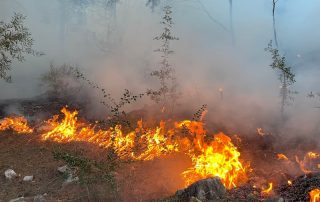 Incendio forestal Yunquera - Paraje Fontanilla