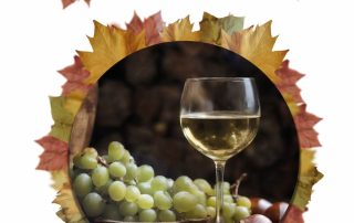 Cartel de la Feria del Vino y la Castaña 2023 de Yunquera web