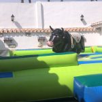 toro mecanico romeria de porticate 2024