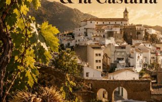 CARTEL OFICIAL FERIA DEL VINO Y LA CASTAÑA YUNQUERA 2026 WEB