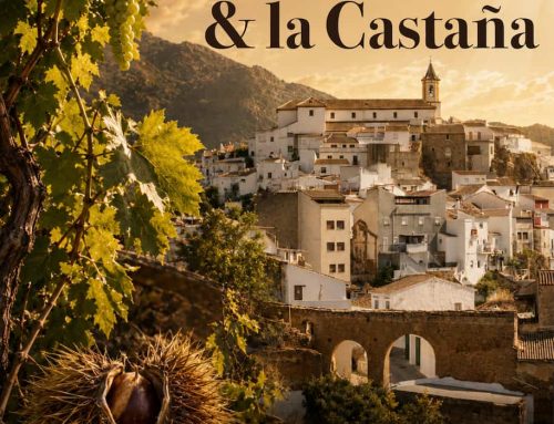 Feria del Vino y la Castaña de Yunquera 2026: toda la programación